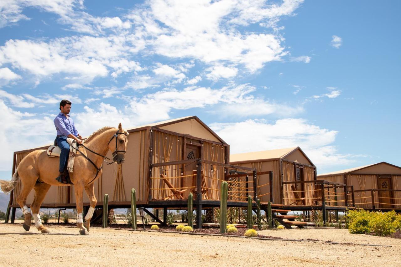 Indomito Resort & Hotel Boutique Valle de Guadalupe Kültér fotó